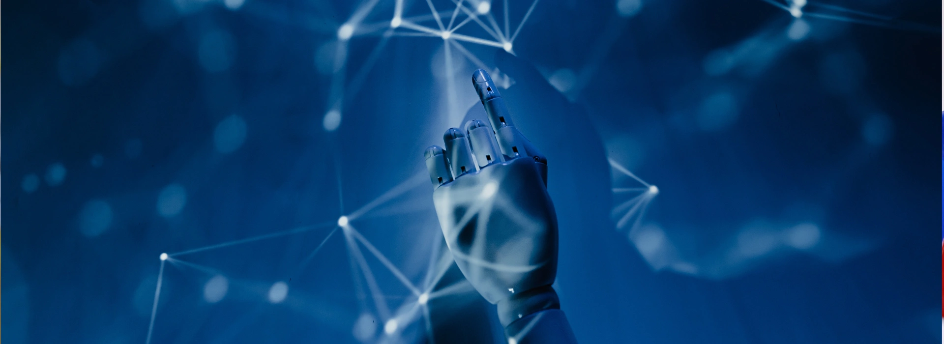 Science and Technology Graduates